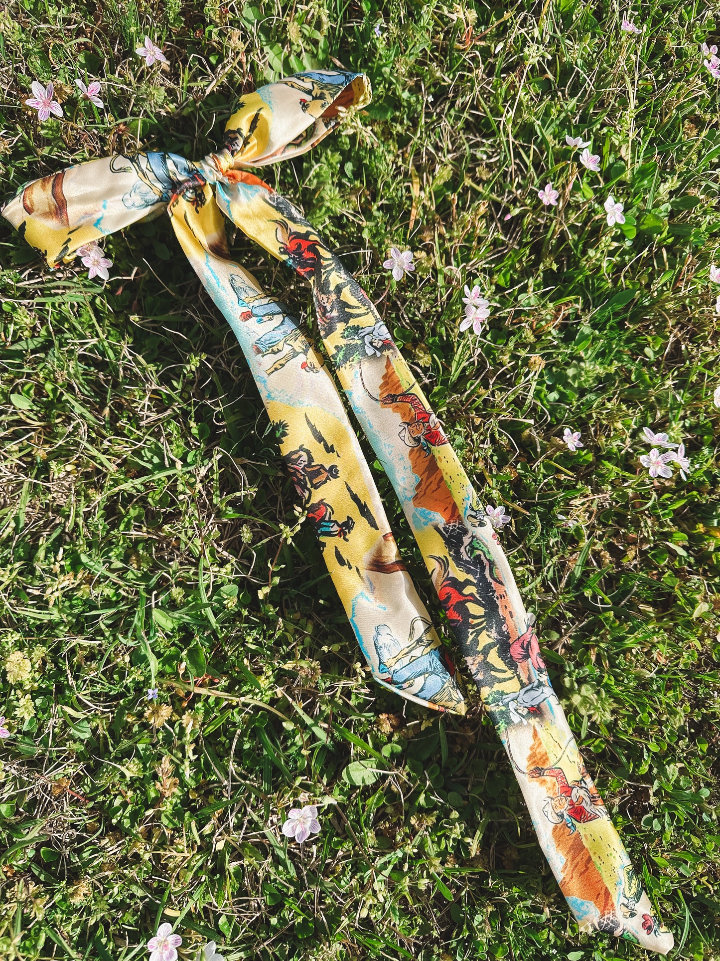 Wild West Scarf