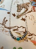 Sonoran Turquoise Necklace
